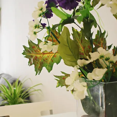 Bea's Home: Cozy On The Outskirts Of Centre Apartment *
