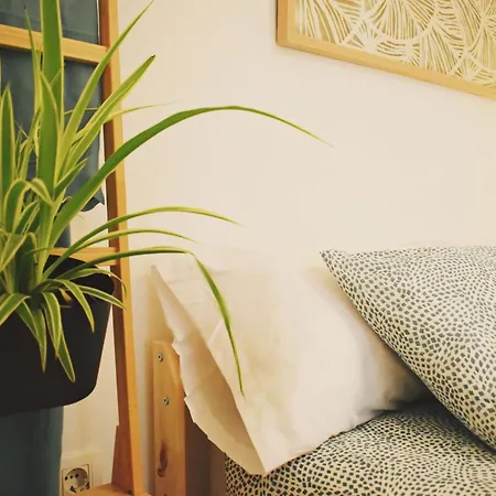 Bea's Home: Cozy On The Outskirts Of Centre Malaga